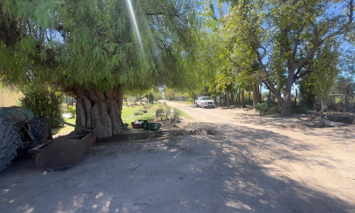 Urgente Oportunidad Finca Divisadero San Martin 3