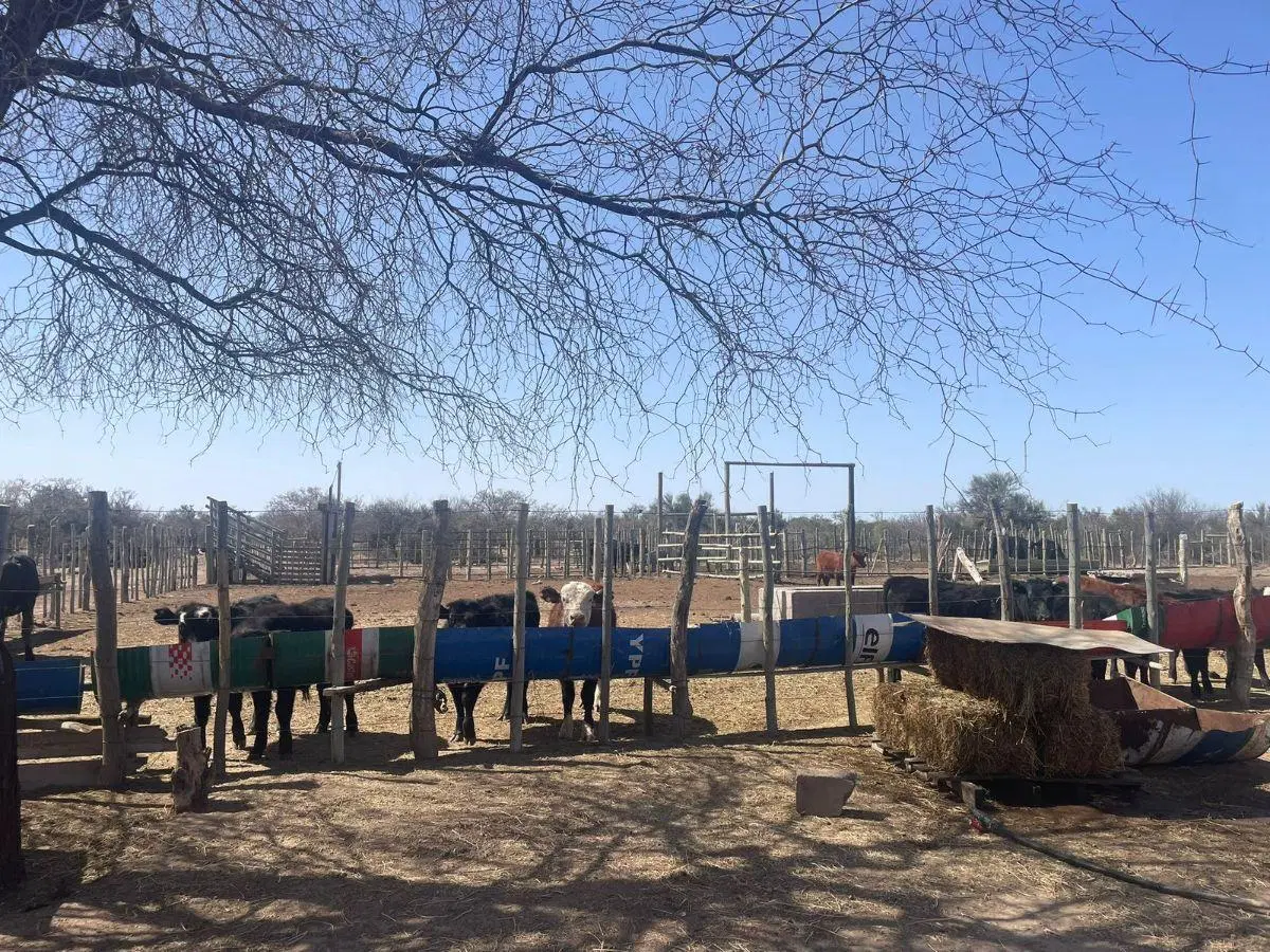 Campo en santa rosa ( inversores ) 2