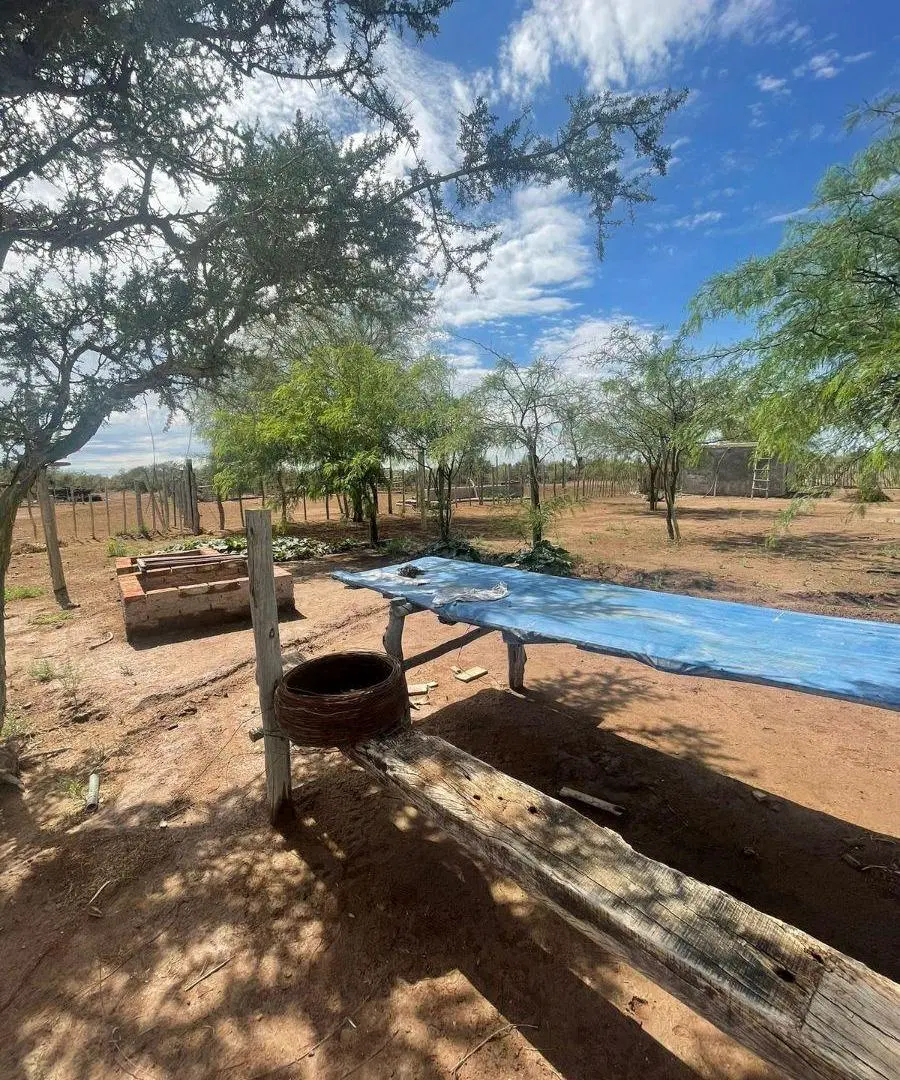 Campo en santa rosa ( inversores ) 4