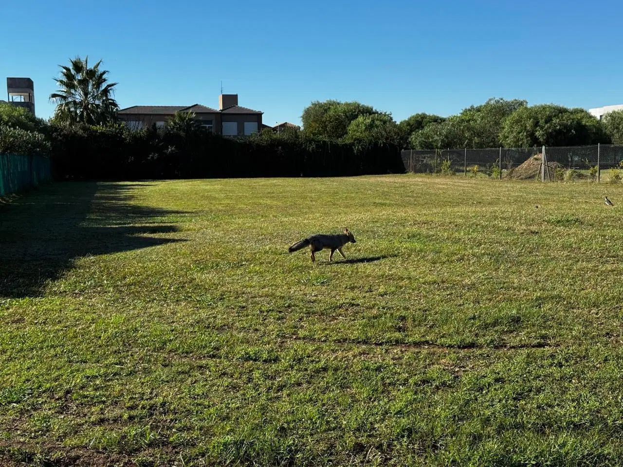 LOTE 1500M2 HEREDADES 5