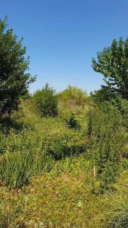 Terreno Fraccion  en Venta en Benavidez, Tigre, G.B.A. Zona Norte 4