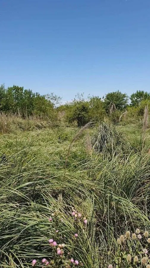 Terreno Fraccion en Venta ubicado en Benavidez, Tigre, G.B.A. Zona Norte 3