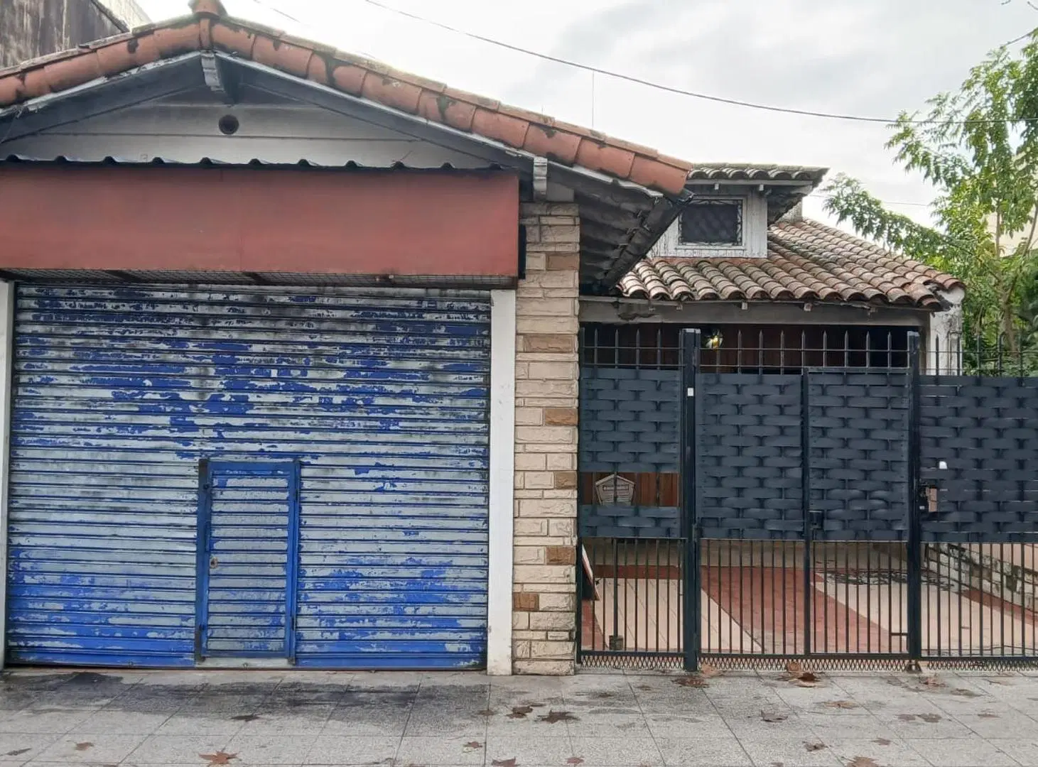LOCAL + CASA APTO PROFESIONAL O COMERCIAL 1