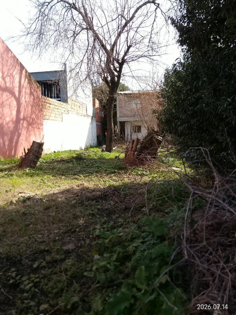 Foto de VENTA LOTE EN PILAR, imagen 3