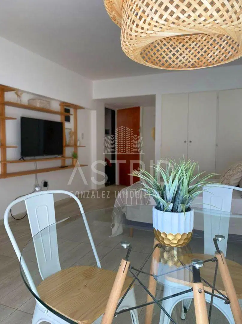 Venta de Monoambiente San Isidro Centro 4