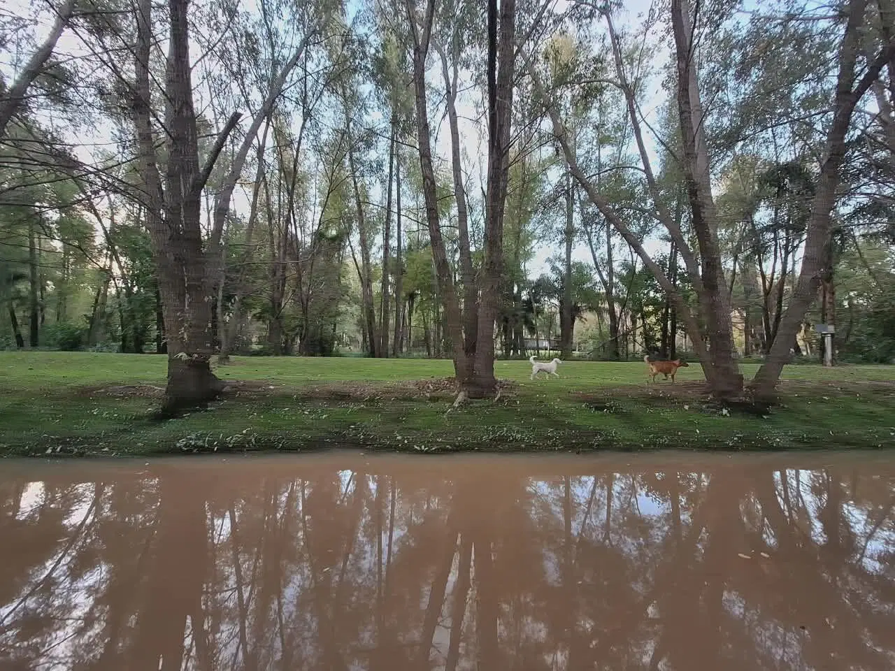 Venta de Lote en Delta, Tigre 2