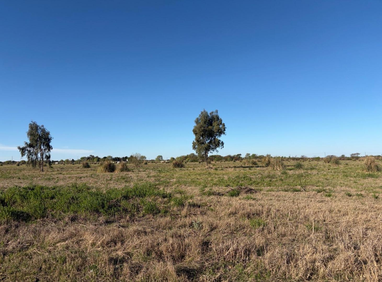 Foto de Fraccion con Escritura, pegada a Campo Norte!!!, imagen 1