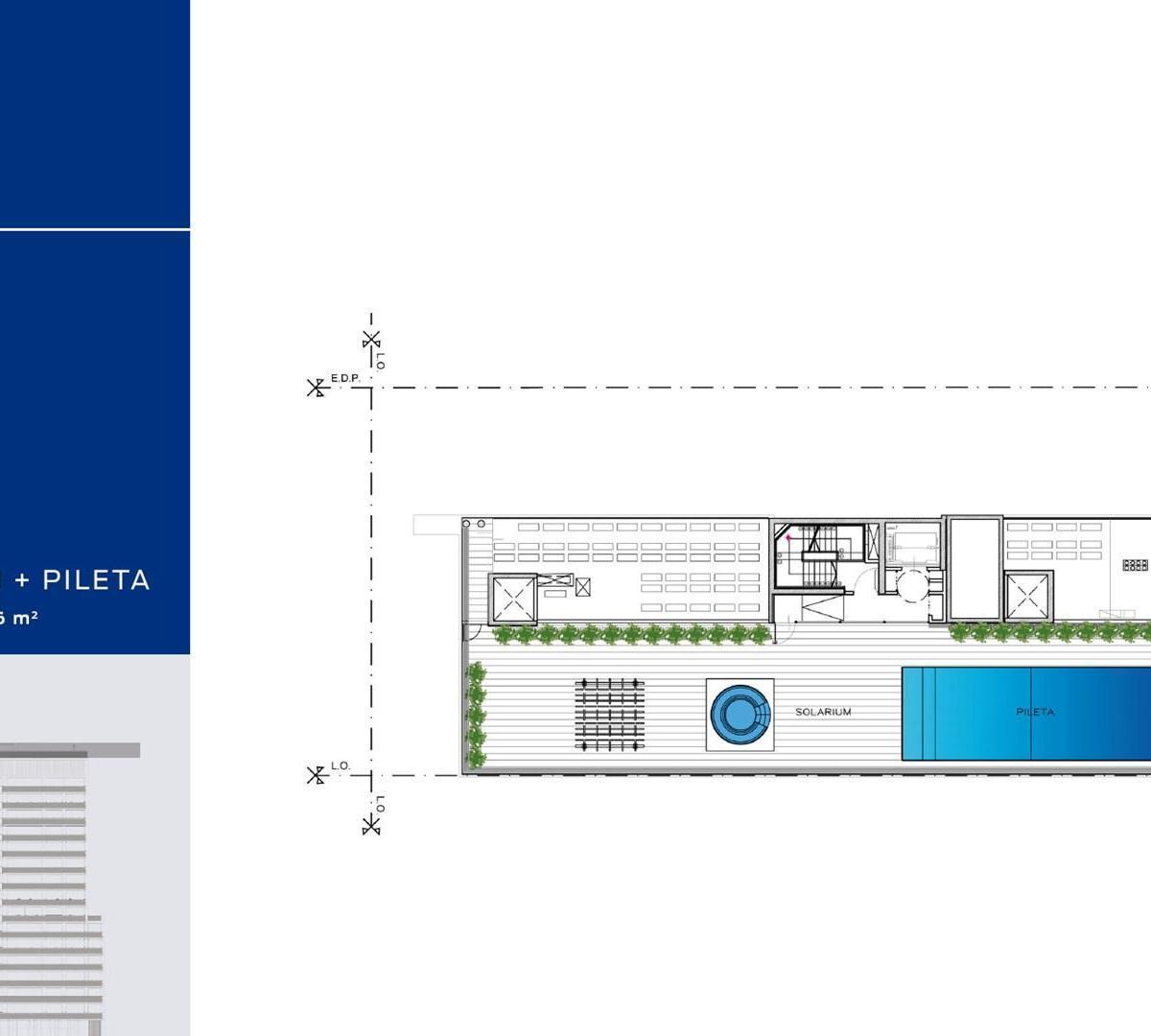 Plano 6