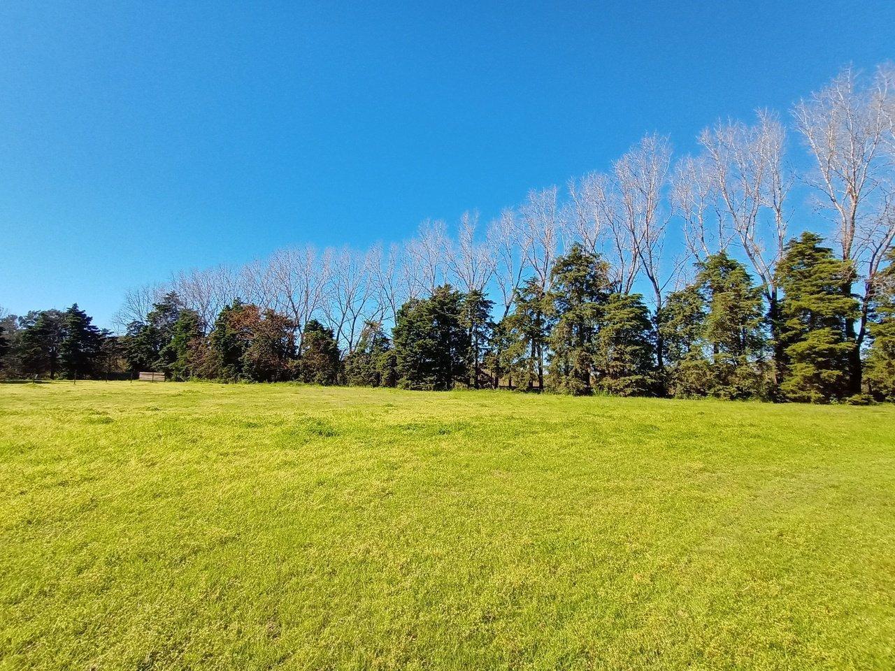 Foto de VENTA FRACCION DE CAMPO ROSARIO - SOBRE AUTOPISTA SANTA FE, imagen 4