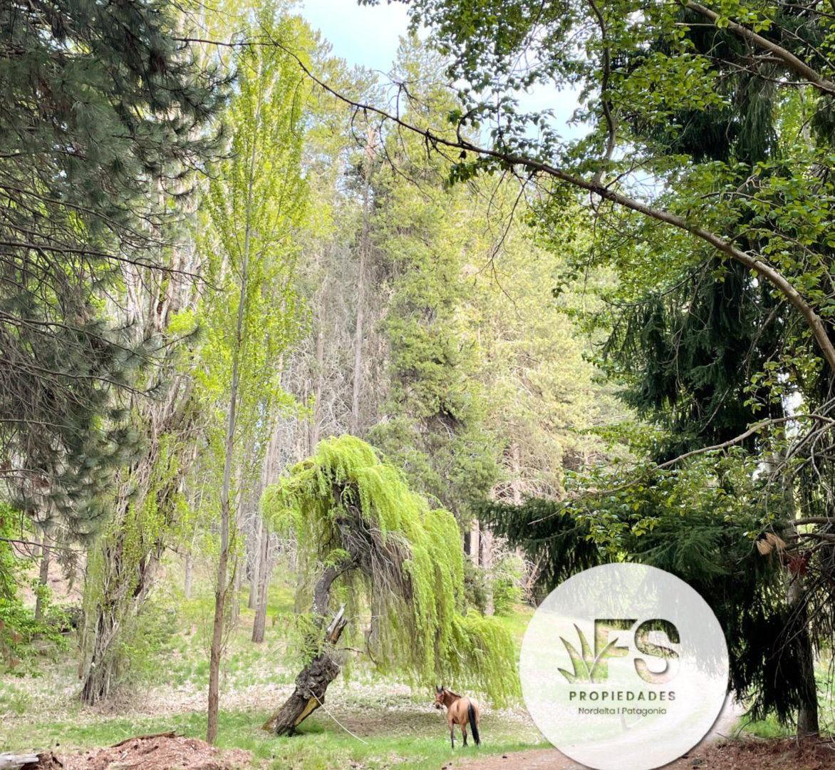 Foto de Chapelco Golf Venta Terreno San Martin de los Andes, imagen 2