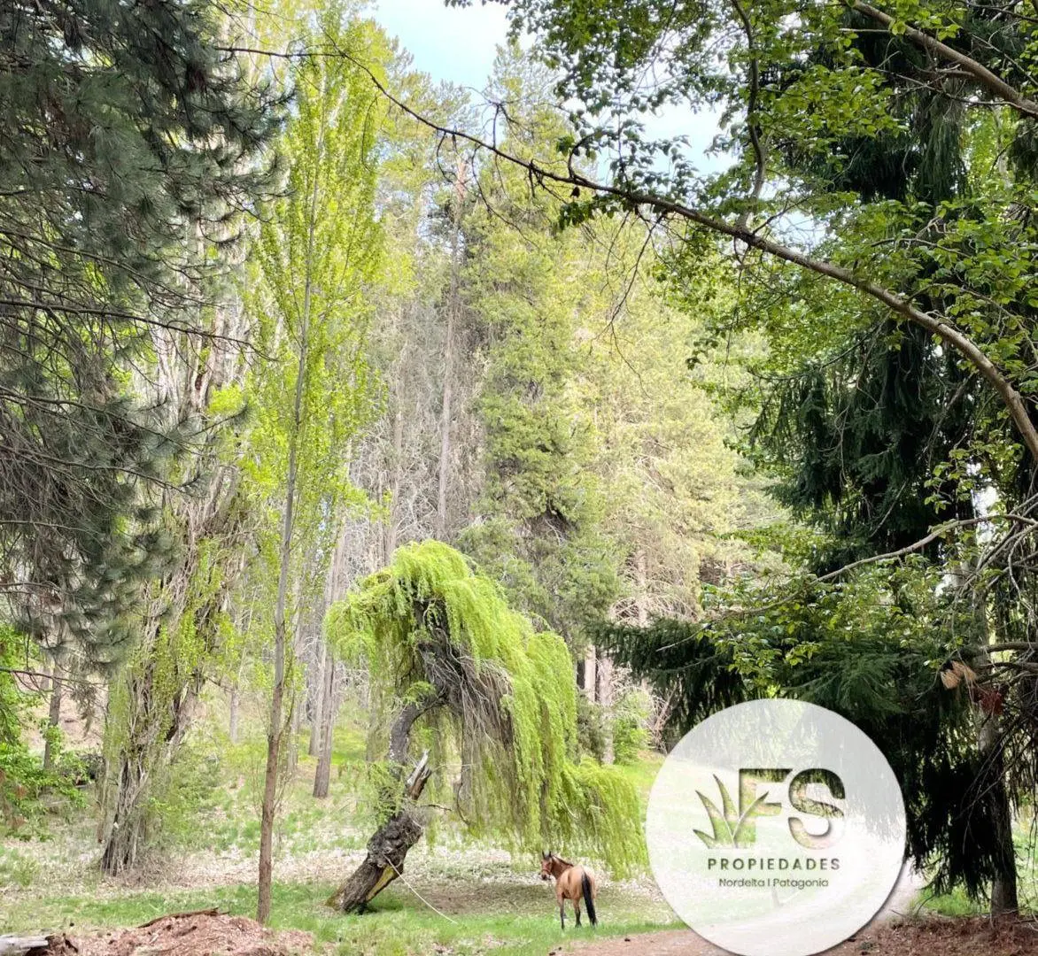 Chapelco Golf Venta Terreno San Martin de los Andes 2