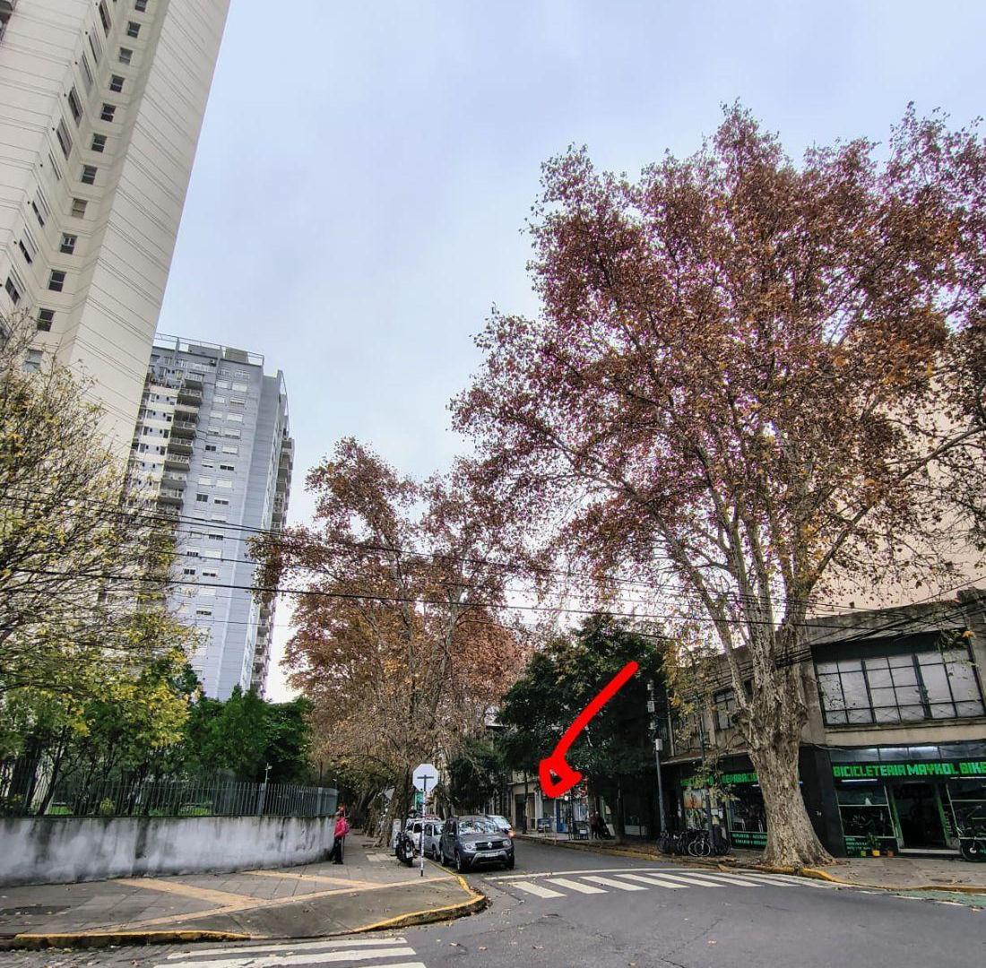 Imagen de la propiedad