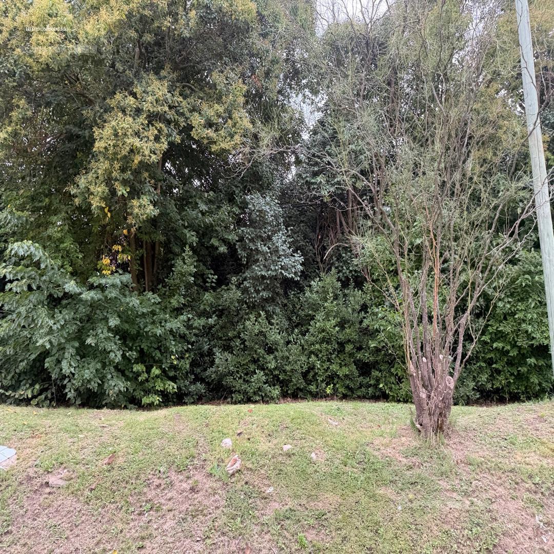 Terreno en San Carlos