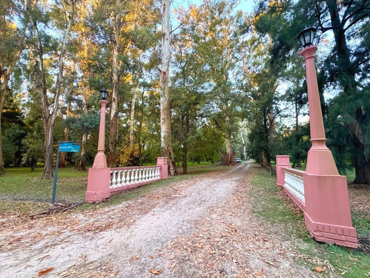 Foto de Terreno en venta en Campos de Roca I, imagen 4