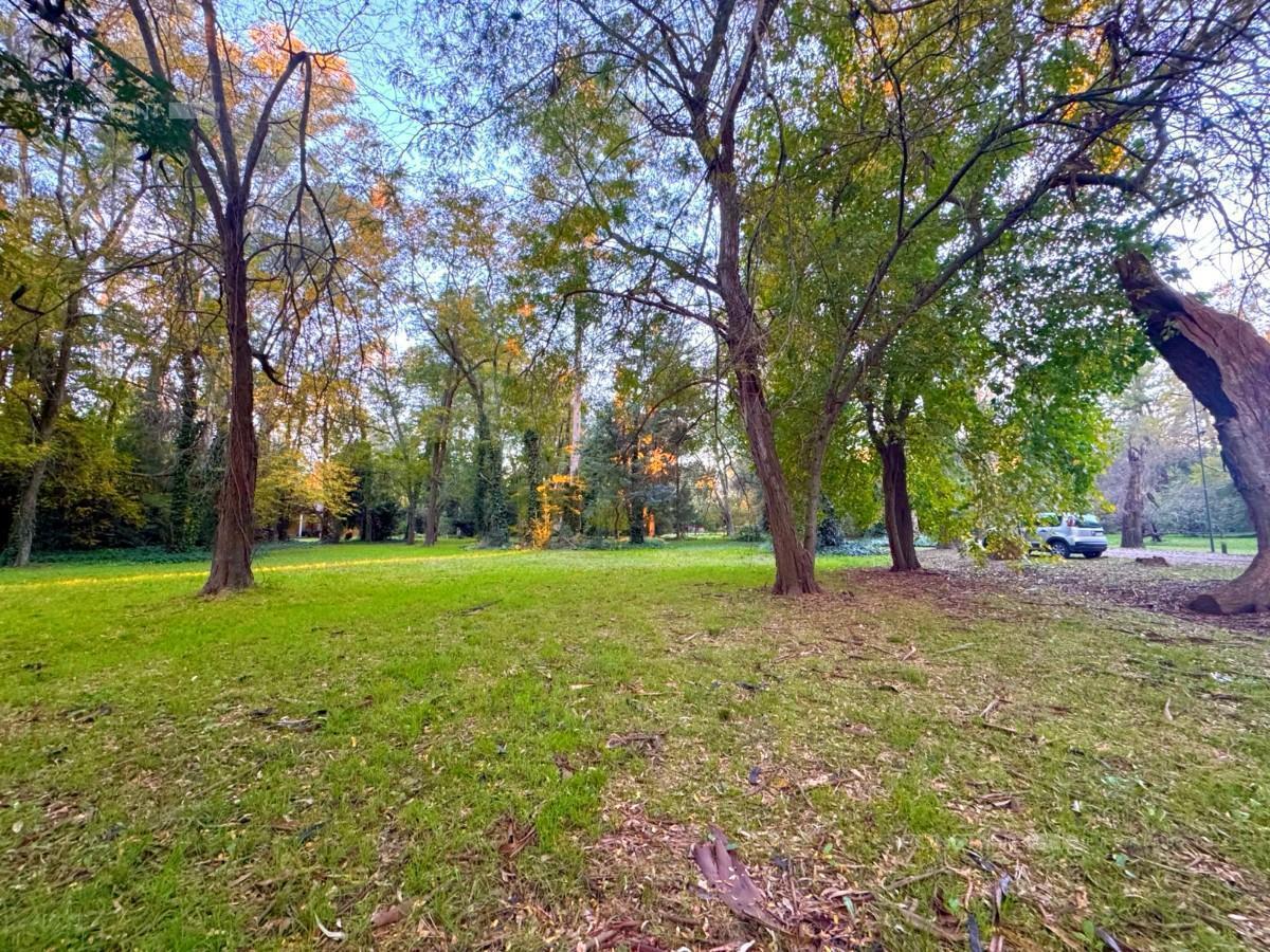 Foto de Terreno en venta en Campos de Roca I, imagen 2