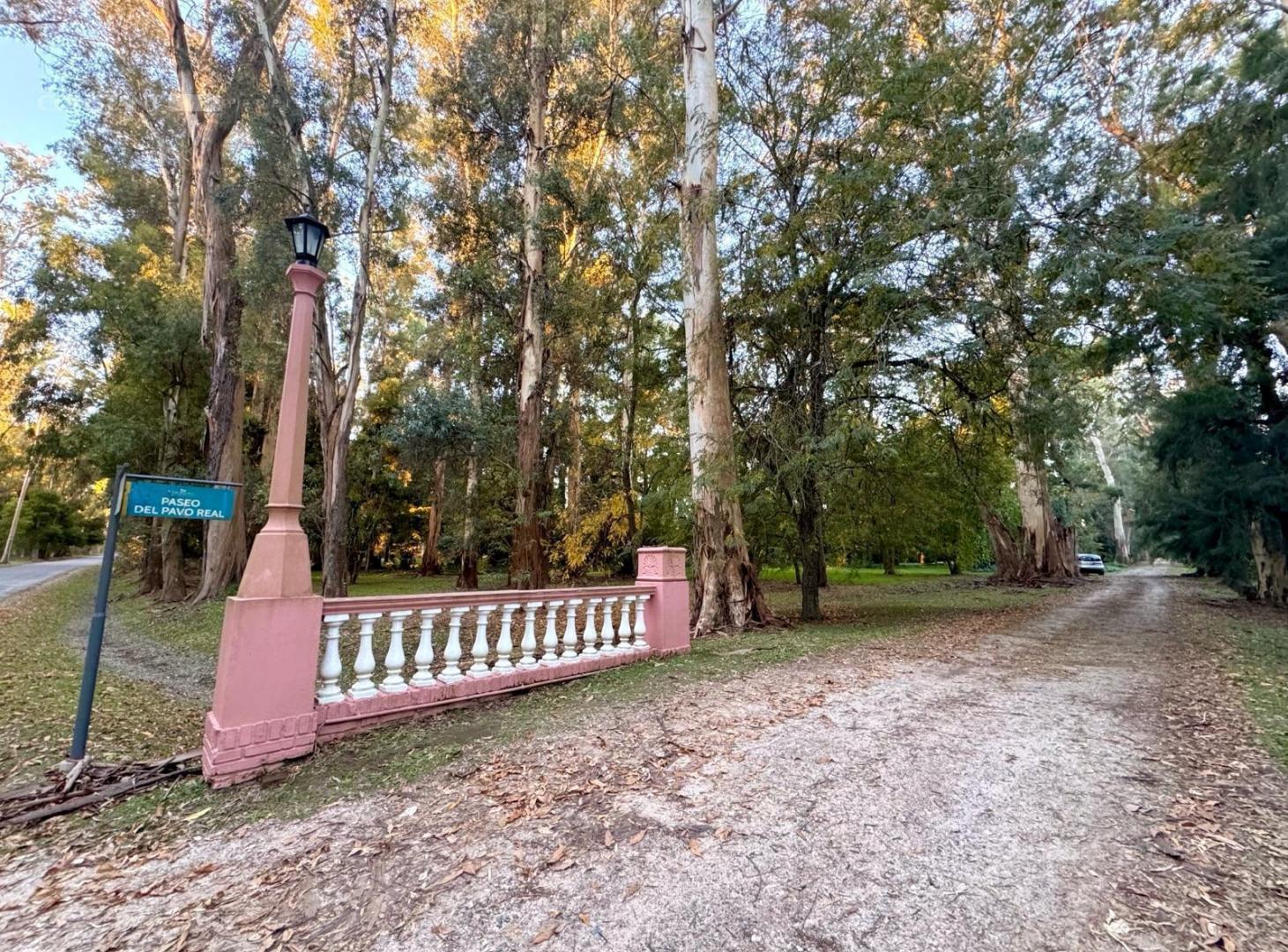 Foto de Terreno en venta en Campos de Roca I, imagen 3