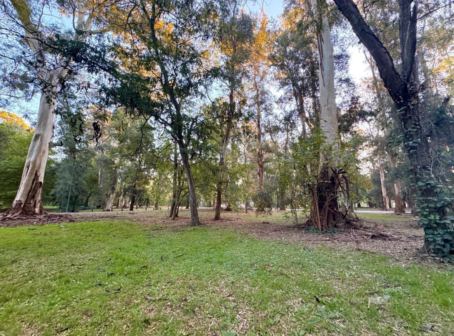 Foto de Terreno en venta en Campos de Roca I, imagen 5