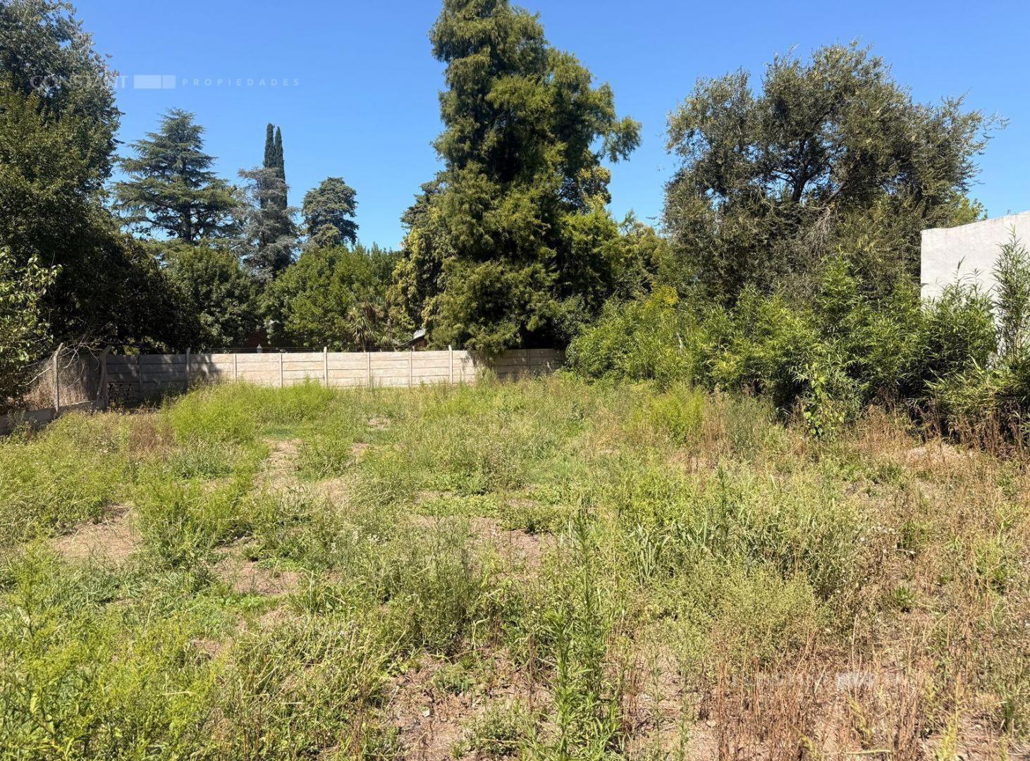 Foto de Terreno en Villa Elisa, imagen 4