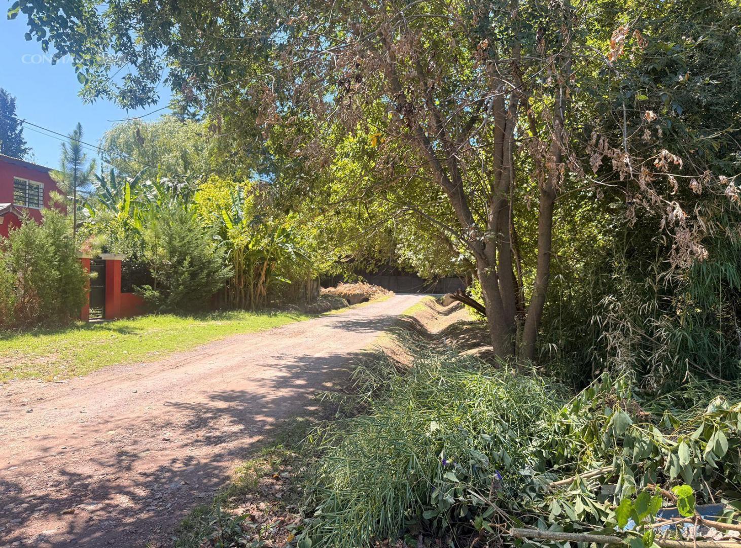 Foto de Terreno en Villa Elisa, imagen 1
