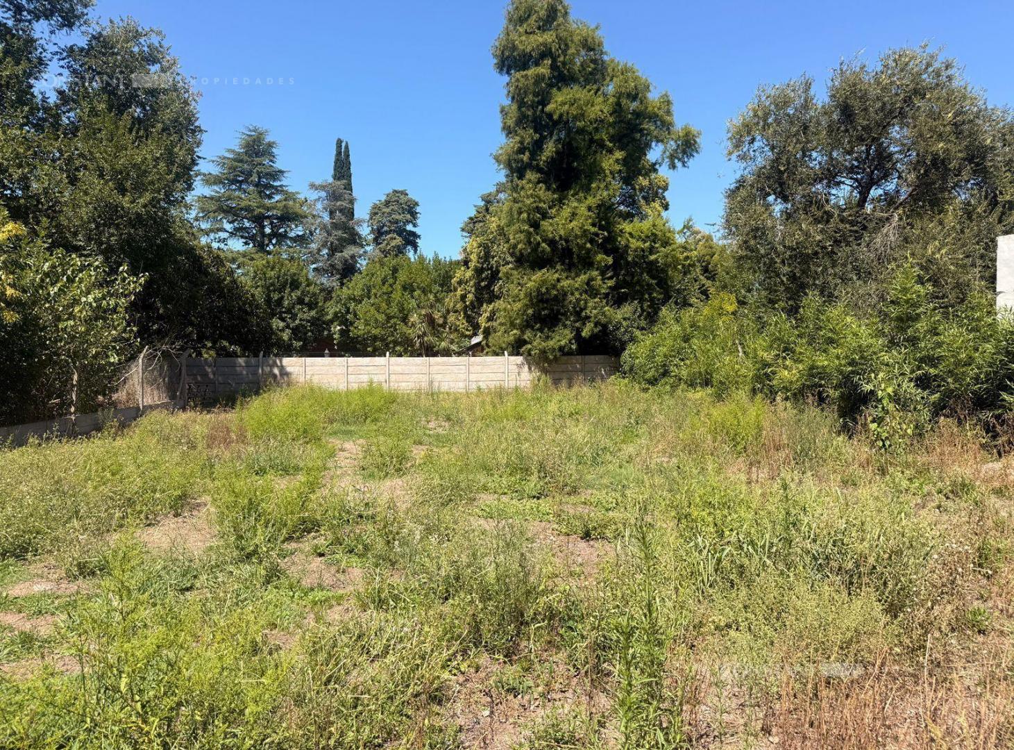 Foto de Terreno en Villa Elisa, imagen 5