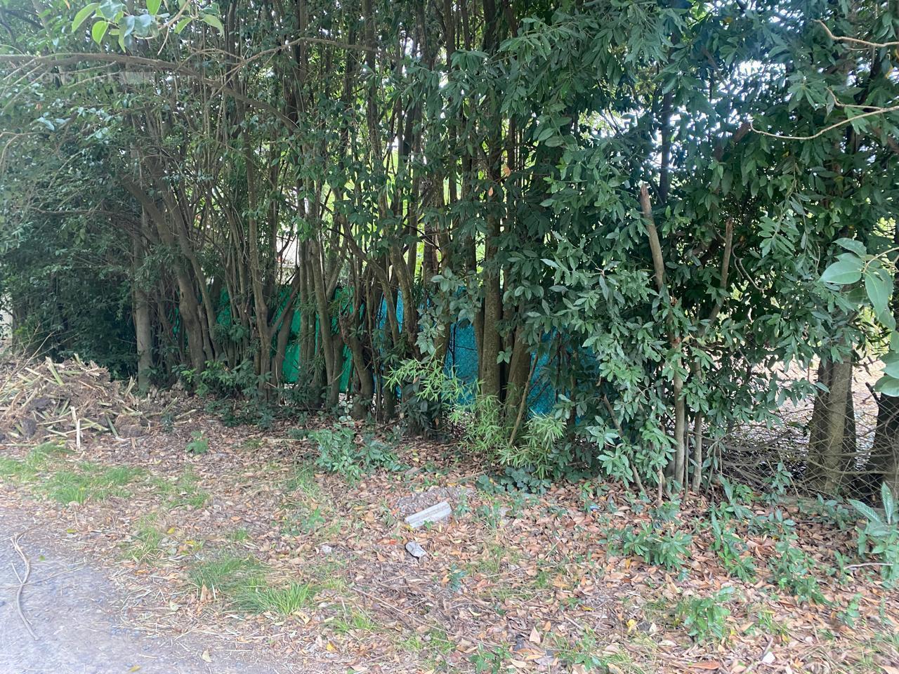 Foto de la propiedad en 134 y 418, Villa Elisa, La Plata