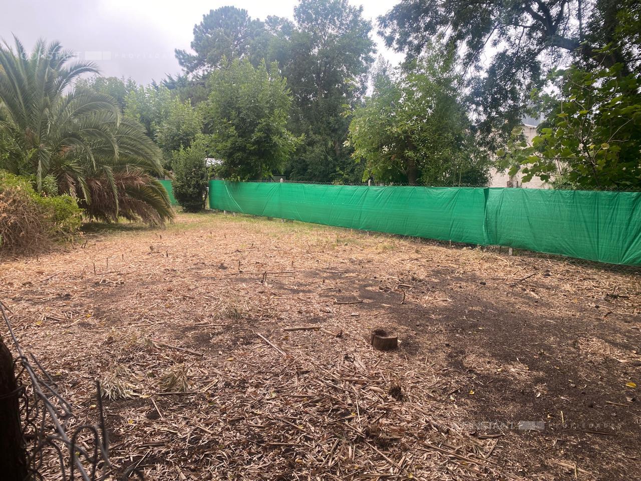 Foto de Terreno en Villa Elisa, imagen 1
