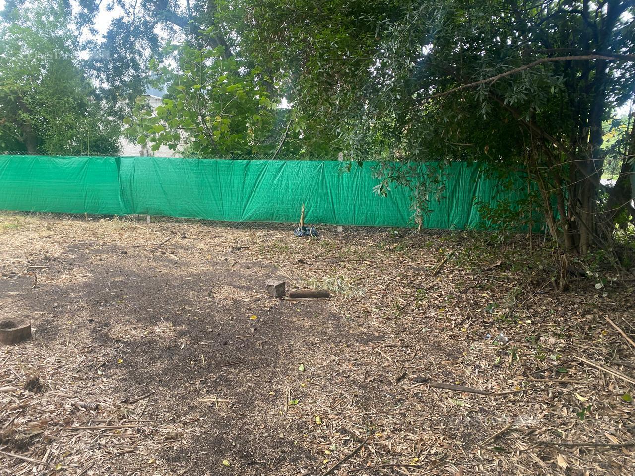 Foto de Terreno en Villa Elisa, imagen 4