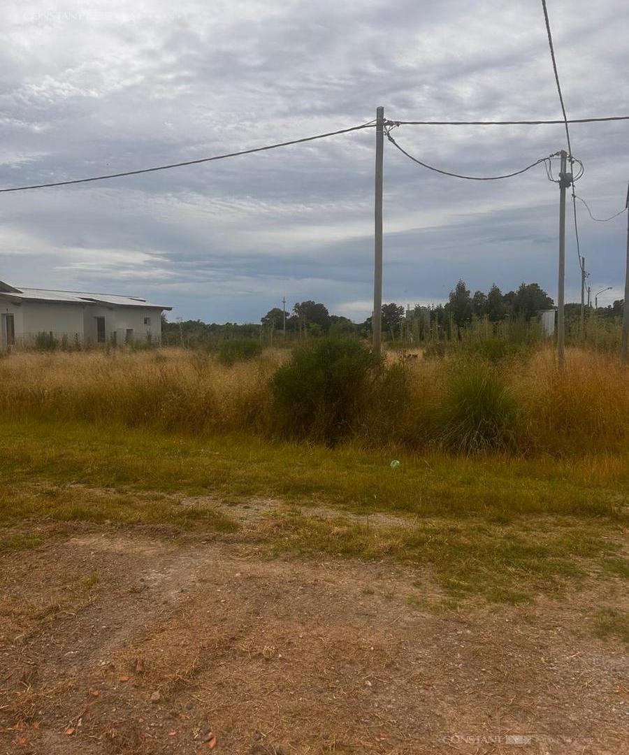 Foto de la propiedad en Barrio Rincon de Gomez (brandsen), Coronel Brandsen