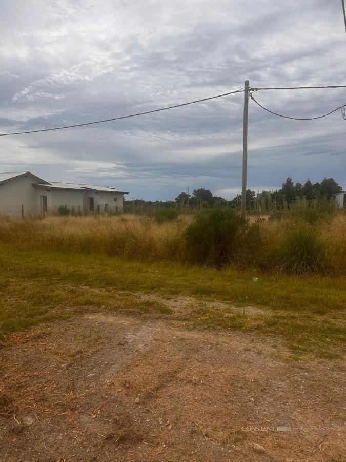 Foto de Terreno en Coronel Brandsen, imagen 3
