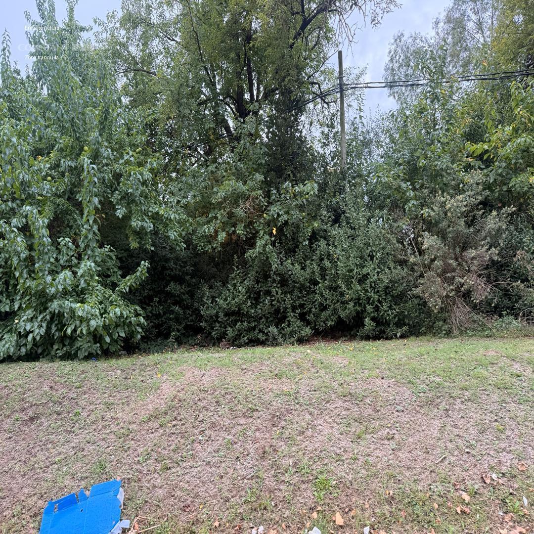 Foto de Terreno en San Carlos, imagen 5
