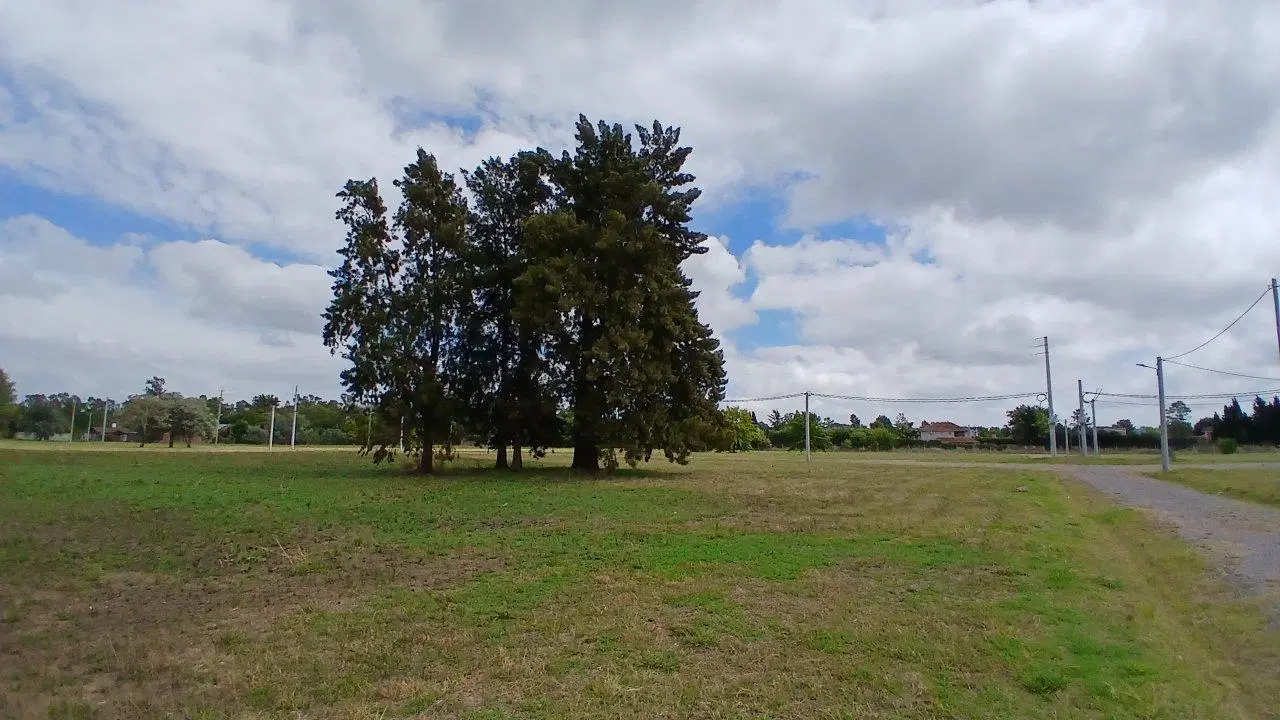 Terrenos en Venta 4