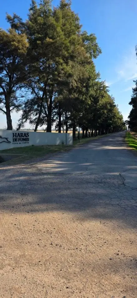 TERRENO EN VENTA EN HARAS DE FUNES, CLUB DE CAMPO AMENITIES - SEGURIDAD 24 HORAS 1.100 M2 L68 3