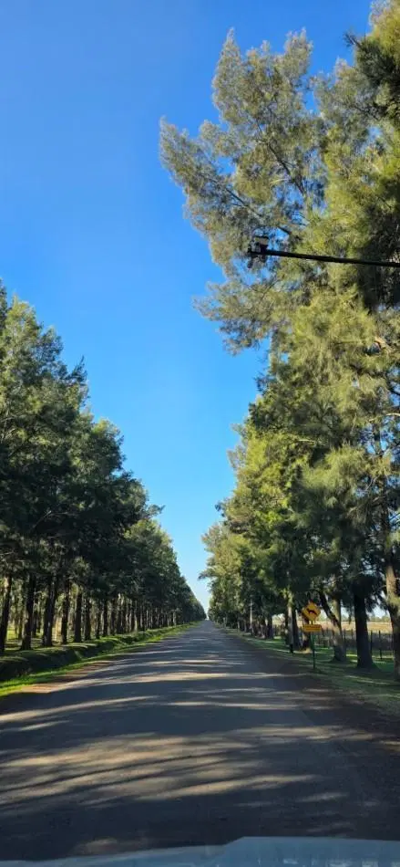 TERRENO EN VENTA EN HARAS DE FUNES, CLUB DE CAMPO AMENITIES - SEGURIDAD 24 HORAS 1.100 M2 L68 4