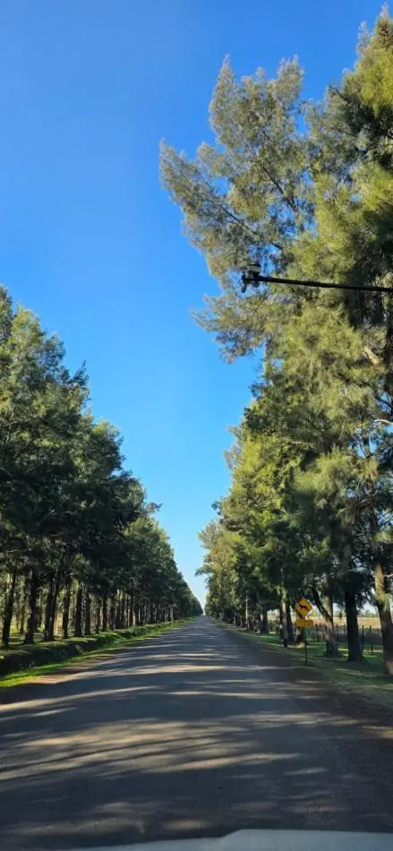 TERRENO EN VENTA EN HARAS DE FUNES, CLUB DE CAMPO AMENITIES - SEGURIDAD 24 HORAS 1.100 M2 L68 2