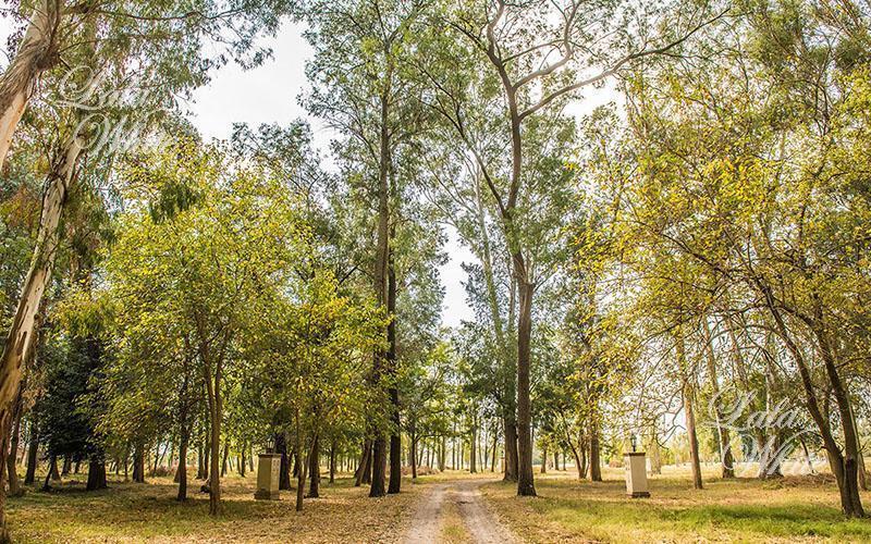 Lote a la venta en Estancia Villa María