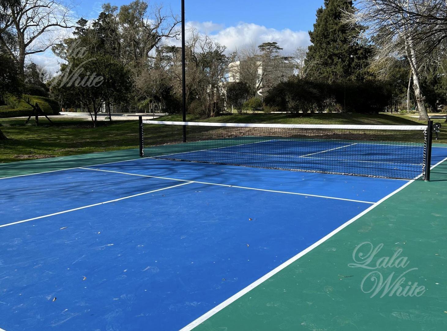 Foto de Lote a la venta en San Eliseo, imagen 5