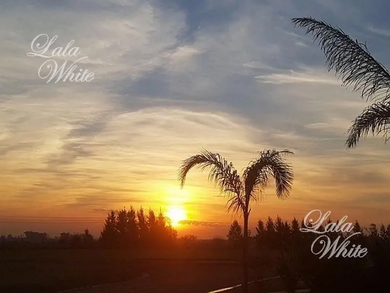 Lote a la laguna en Lagos de San Eliseo 3