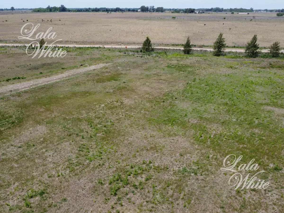 Venta - Lote en Tiempos de Canning 3