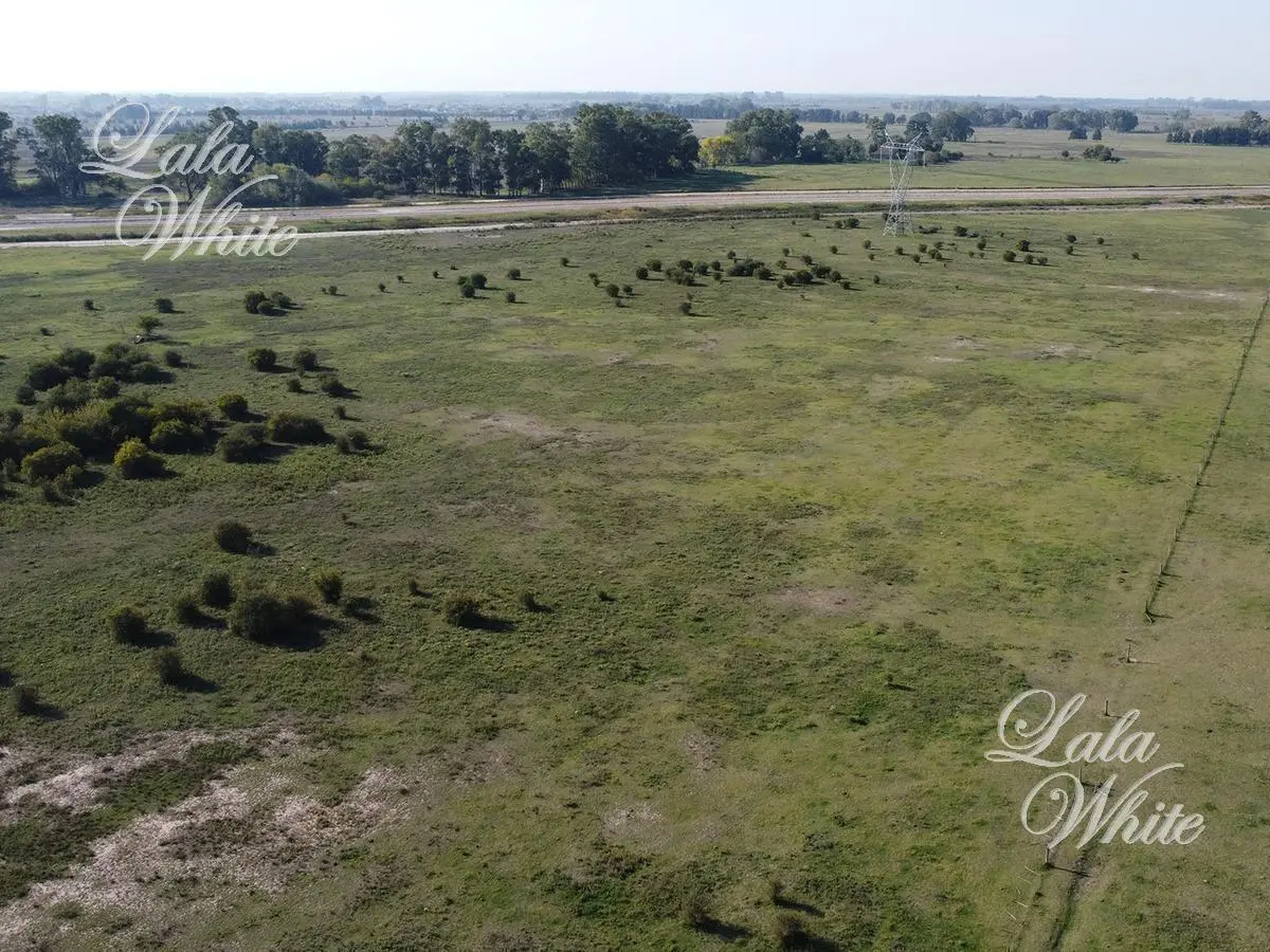 Venta - Terreno de 15,3 hectáreas en Canning 2
