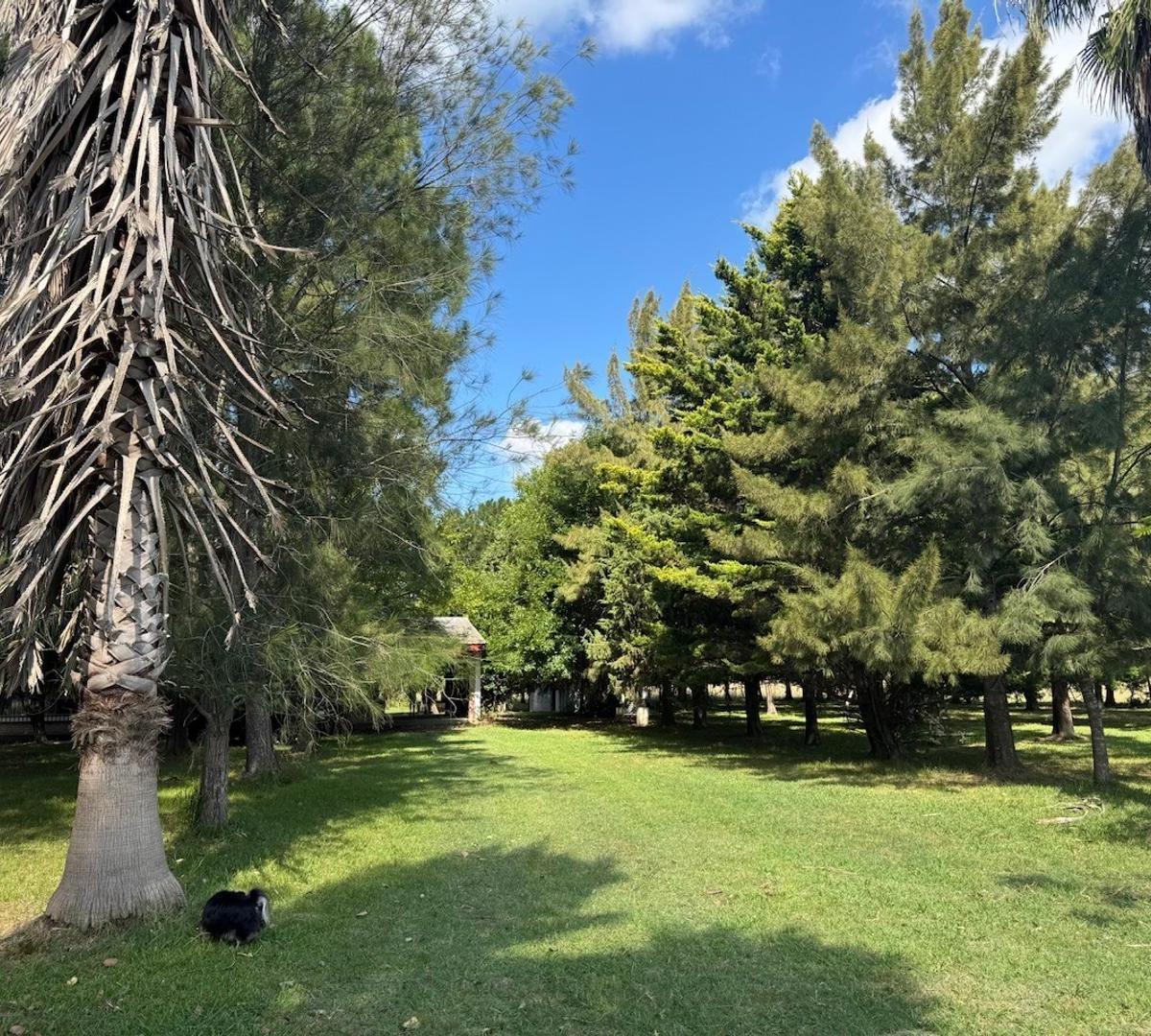 Campo en venta en km. 69 de la ruta 2 partido de La Plata