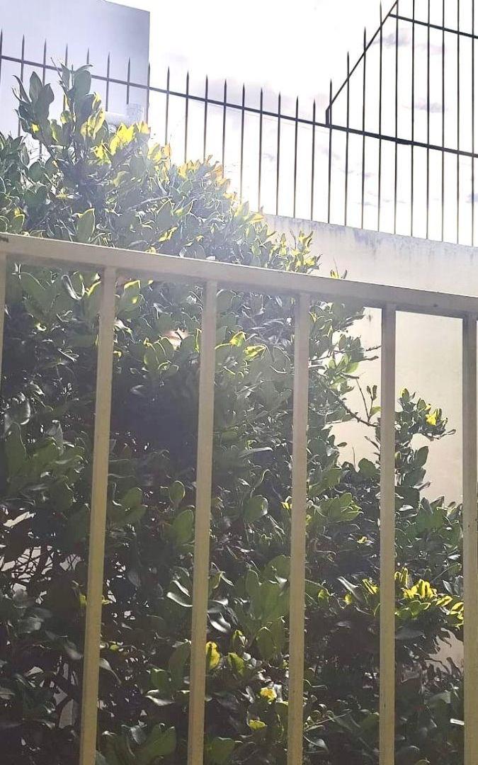 venta como Lote u oficinas en Caballito CABA