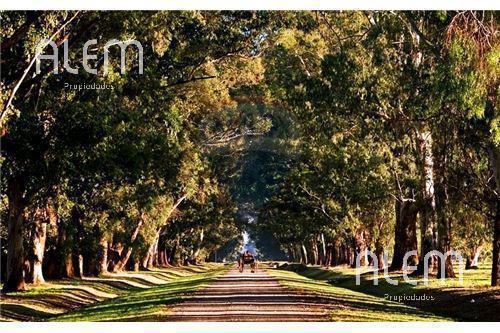 Foto de Lote en venta en Canning | Estancia Villa Maria, imagen 3