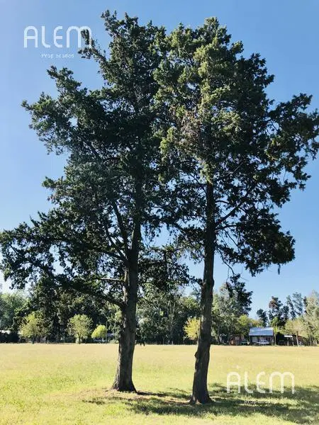 Terreno en venta en San Vicente 2