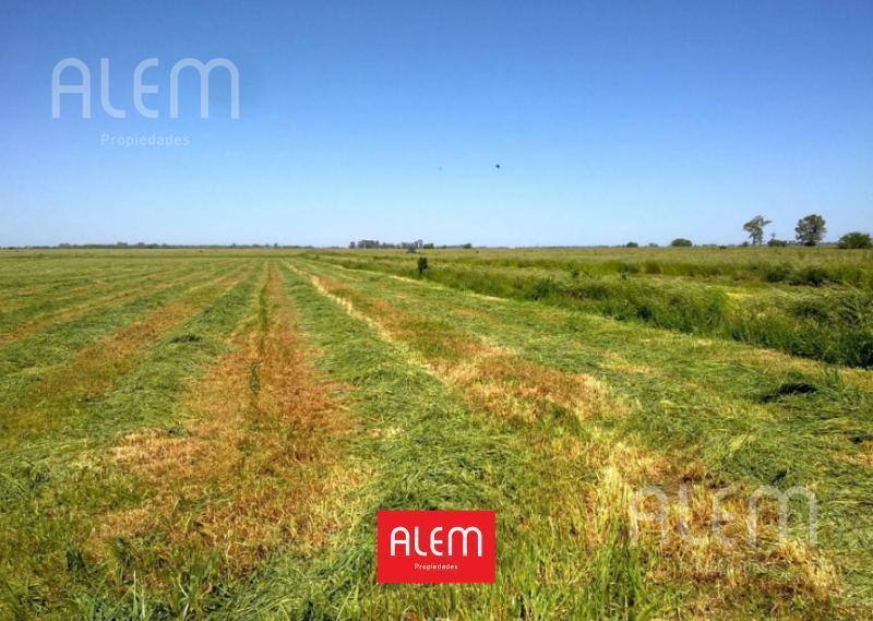 Foto de Campo en venta en Canning, imagen 1