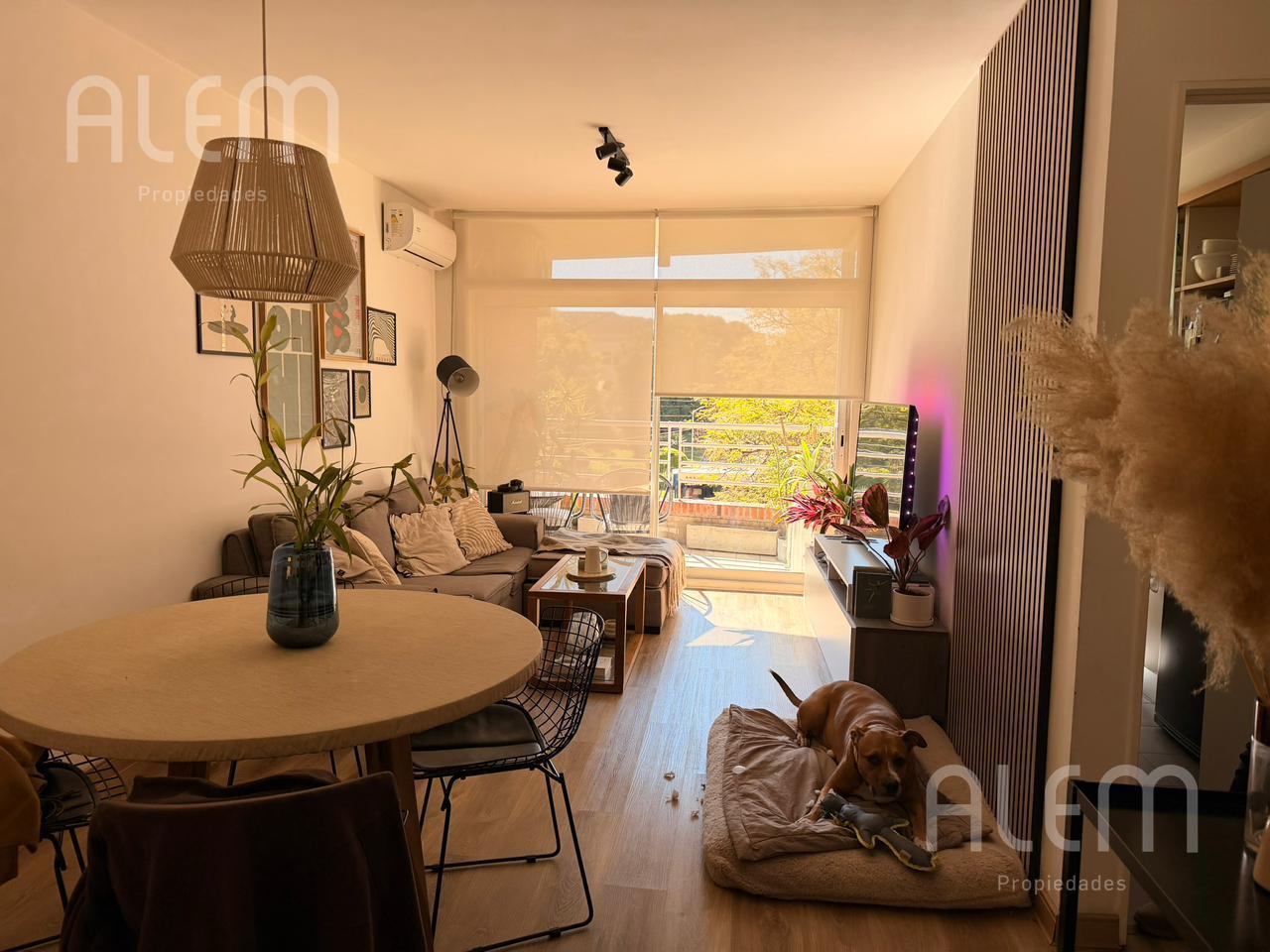 Foto de Alquiler departamento 2 ambientes Nuñez, imagen 1
