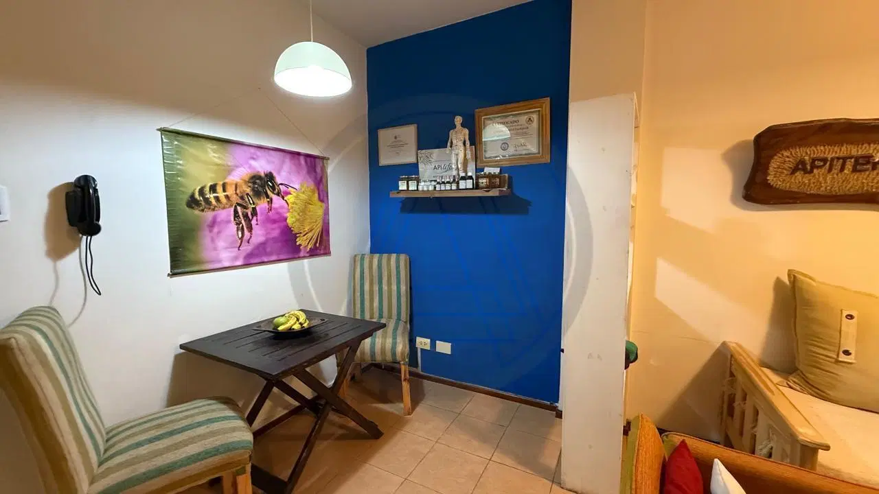 Departamento de dos ambientes con patio propio en venta - Agronomía 4