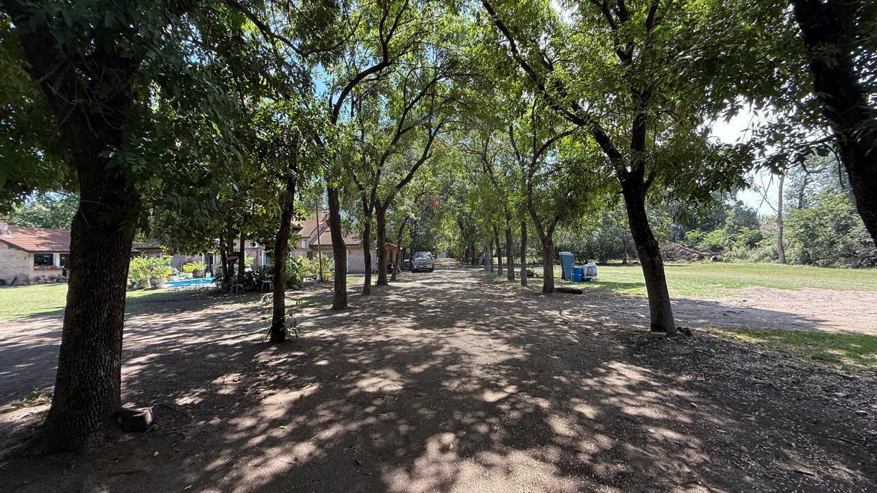 Foto de Terreno en Villa Rosa, imagen 3