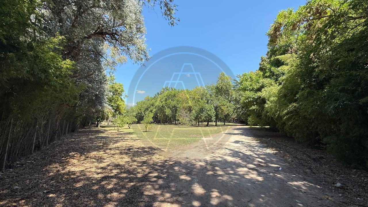 Foto de Terreno en Villa Rosa, imagen 5