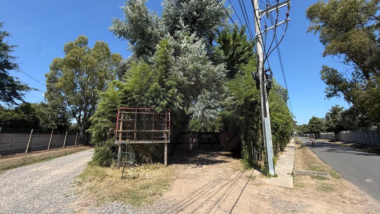 Foto de Terreno en Villa Rosa, imagen 4