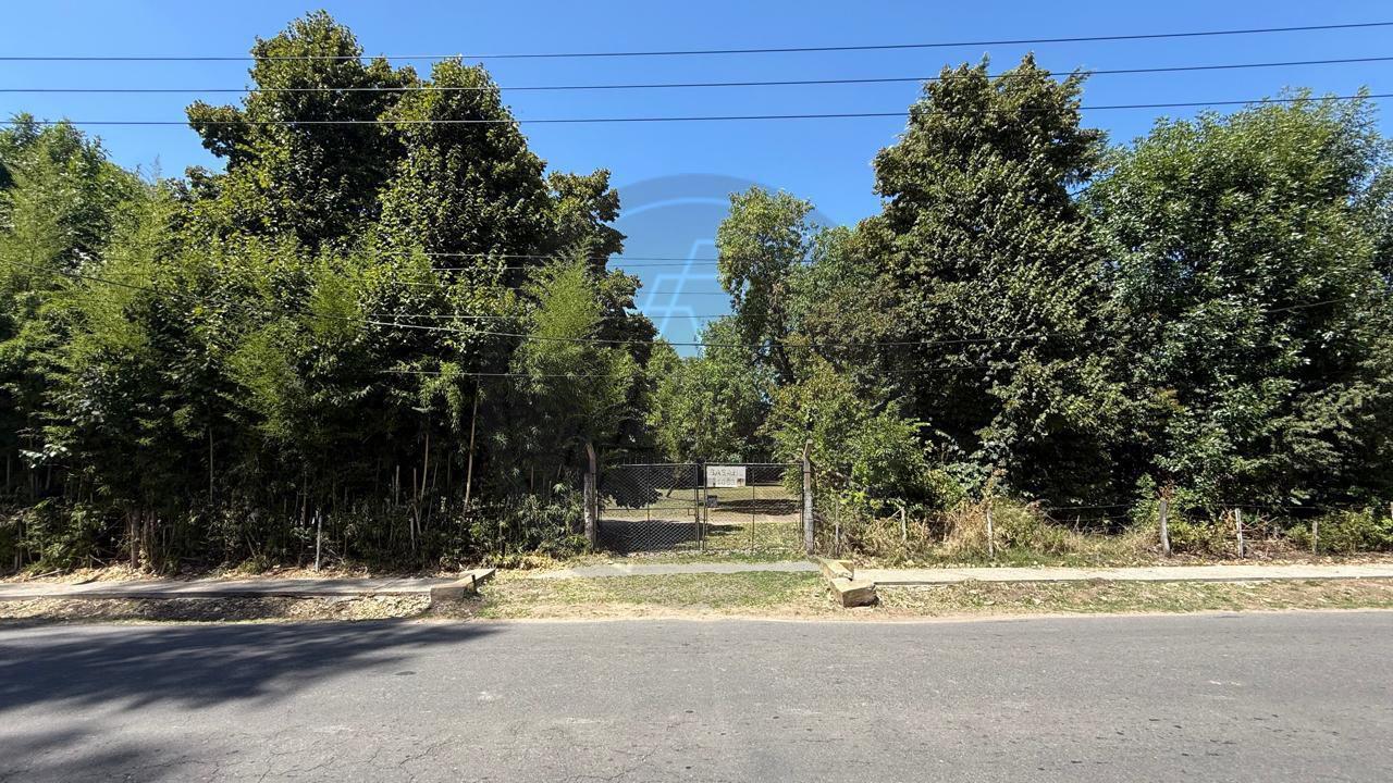 Foto de Terreno en Villa Rosa, imagen 5